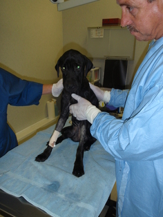 Bobby with Creekside patient
