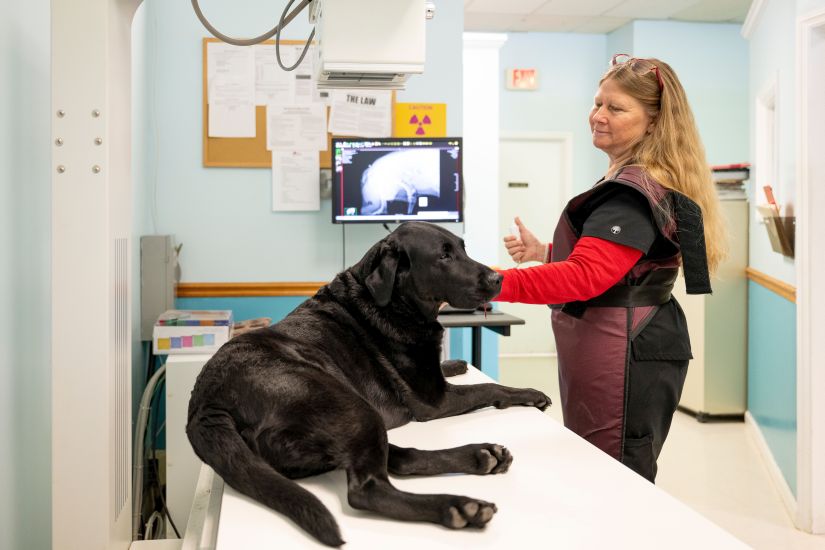 Sharon gives Charlie a didgital x-ray