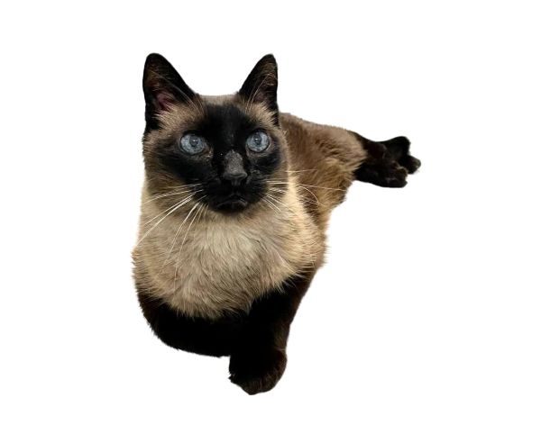 Mystic, a Creekside patient