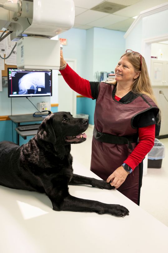 Digital x-ray is available on site